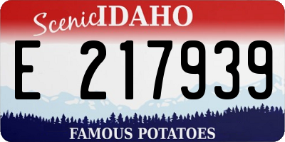 ID license plate E217939
