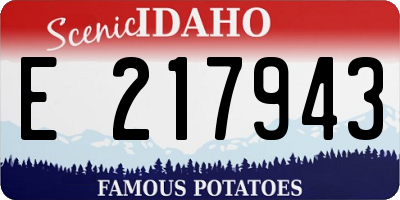 ID license plate E217943