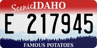 ID license plate E217945