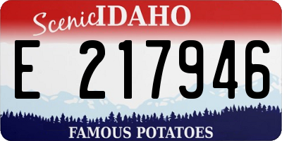 ID license plate E217946