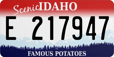 ID license plate E217947
