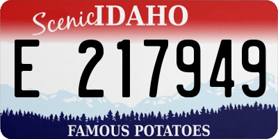 ID license plate E217949