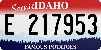 ID license plate E217953