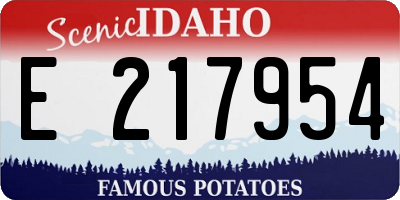 ID license plate E217954