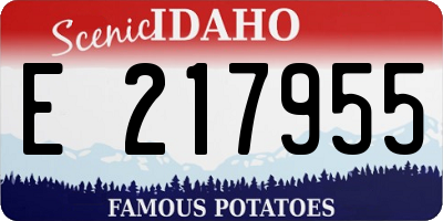 ID license plate E217955