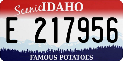 ID license plate E217956