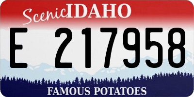 ID license plate E217958