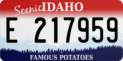 ID license plate E217959