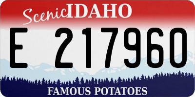 ID license plate E217960