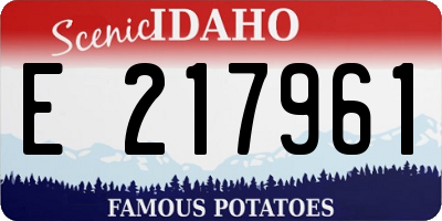ID license plate E217961