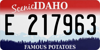 ID license plate E217963