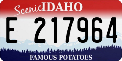 ID license plate E217964