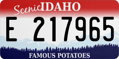 ID license plate E217965
