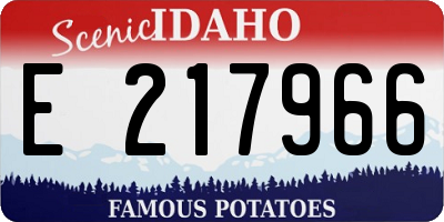 ID license plate E217966