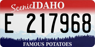 ID license plate E217968