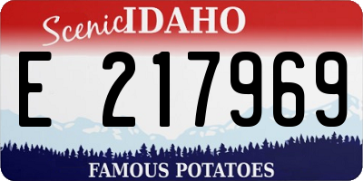 ID license plate E217969