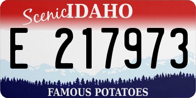 ID license plate E217973