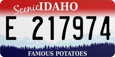 ID license plate E217974
