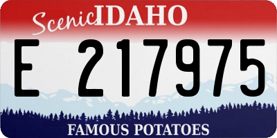 ID license plate E217975