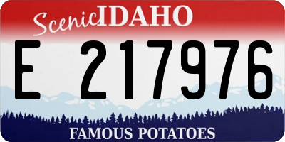 ID license plate E217976