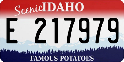 ID license plate E217979