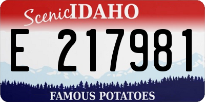 ID license plate E217981