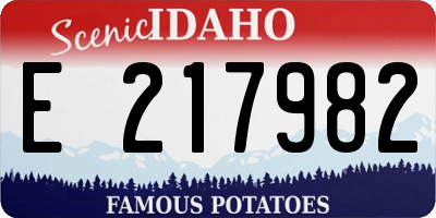 ID license plate E217982
