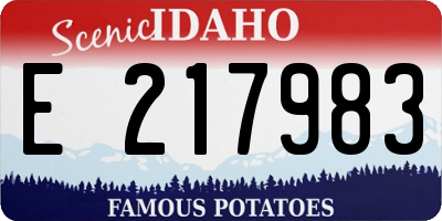 ID license plate E217983