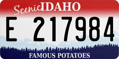 ID license plate E217984