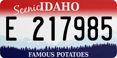 ID license plate E217985