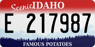 ID license plate E217987