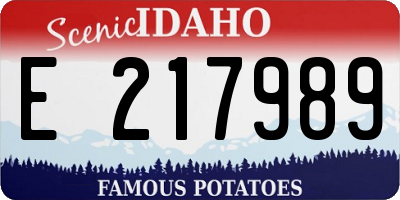 ID license plate E217989