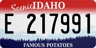 ID license plate E217991