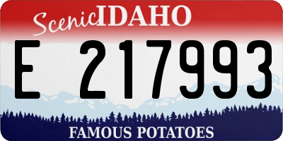 ID license plate E217993