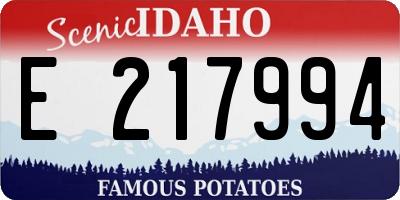ID license plate E217994
