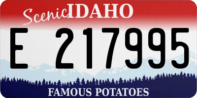 ID license plate E217995