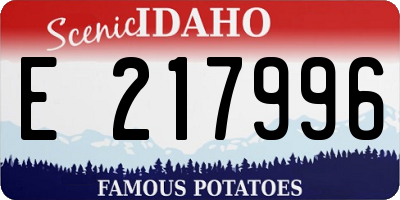 ID license plate E217996