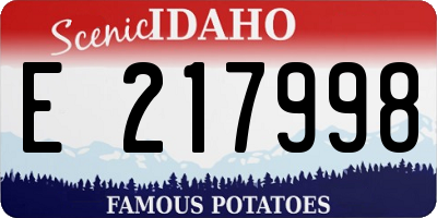 ID license plate E217998