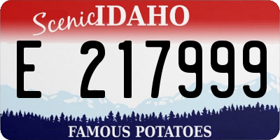 ID license plate E217999