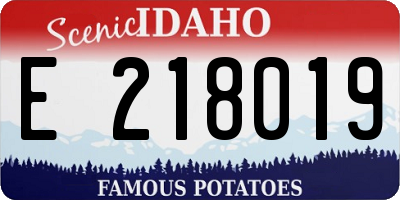 ID license plate E218019