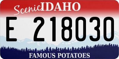 ID license plate E218030