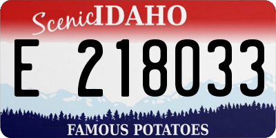 ID license plate E218033