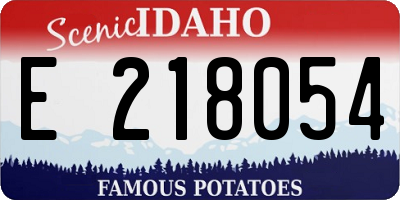ID license plate E218054