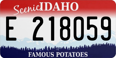ID license plate E218059