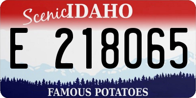 ID license plate E218065