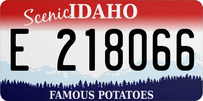 ID license plate E218066