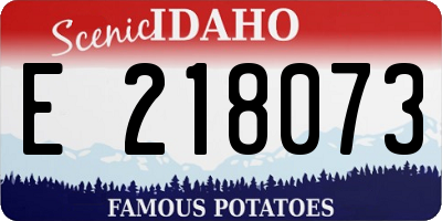 ID license plate E218073