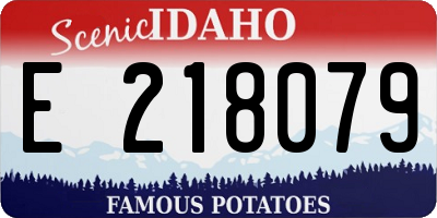 ID license plate E218079