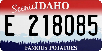 ID license plate E218085