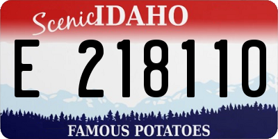 ID license plate E218110